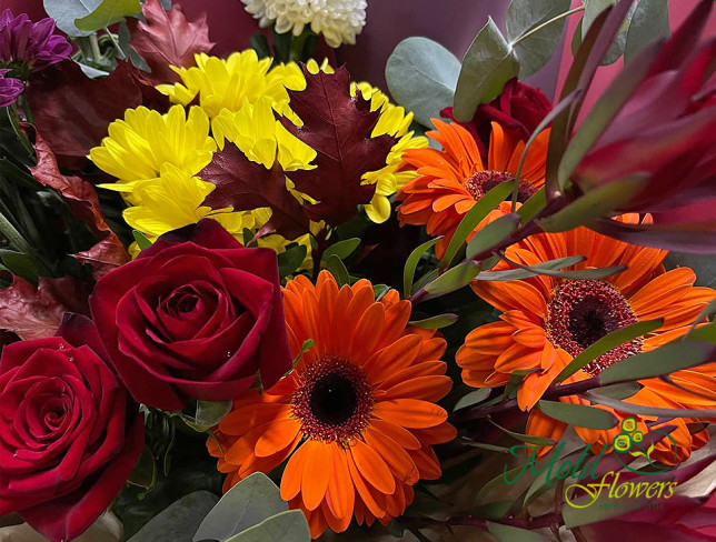 Bouquet of Multicolored Chrysanthemums and Gerbera photo